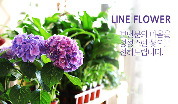 �Ұ��̹���