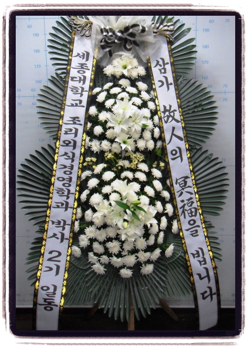 Ｚﺴ 帰 