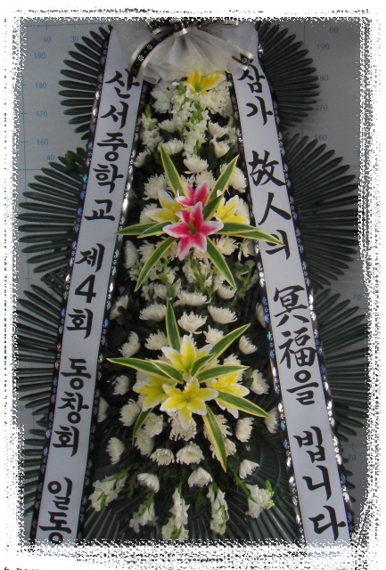 ϻ 뺴  
