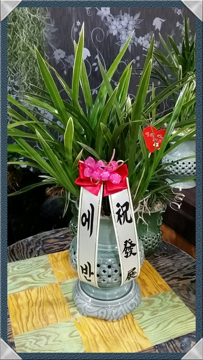 ҿ 帰 ǰ